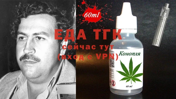 МДПВ Бородино