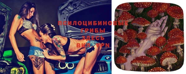 меф Горняк