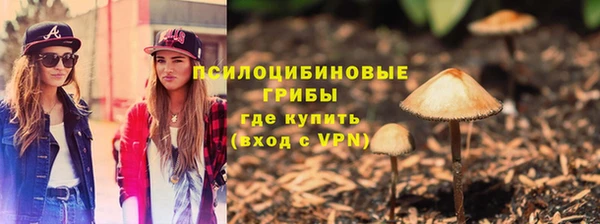 меф Горняк