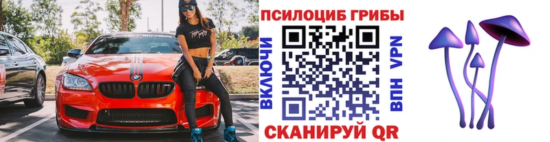 Псилоцибиновые грибы ЛСД  omg онион  Заозёрск  закладки 